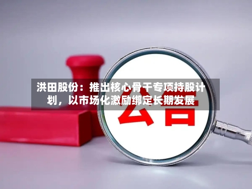 洪田股份：推出核心骨干专项持股计划，以市场化激励绑定长期发展