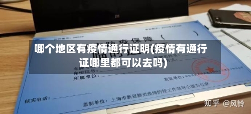 哪个地区有疫情通行证明(疫情有通行证哪里都可以去吗)