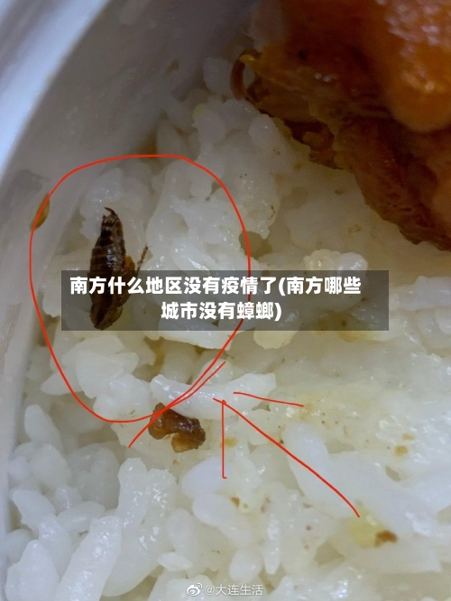 南方什么地区没有疫情了(南方哪些城市没有蟑螂)