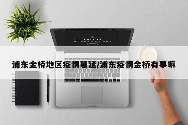 浦东金桥地区疫情蔓延/浦东疫情金桥有事嘛